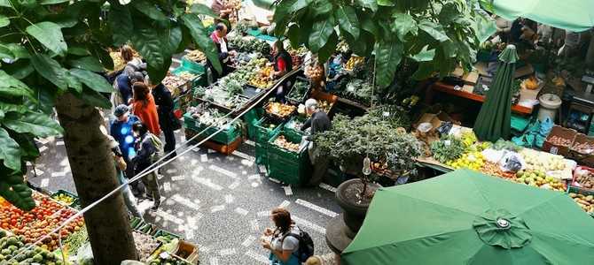Методика сравнительного анализа конкурентов