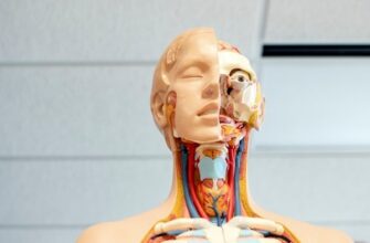 Уральский колледж бизнеса управления и технологии: поступление, отзывы, программы